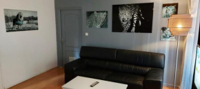 COSY T2,centre ville,proche gare,facs,WI FI